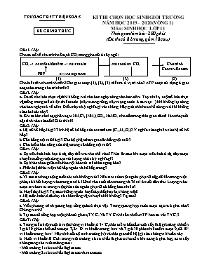 Đề thi chọn đội tuyển học sinh giỏi trường môn Sinh học Lớp 11 (Vòng 1) - Năm học 2019-2020 - Trường THPT Triệu Sơn 5 (Có đáp án)